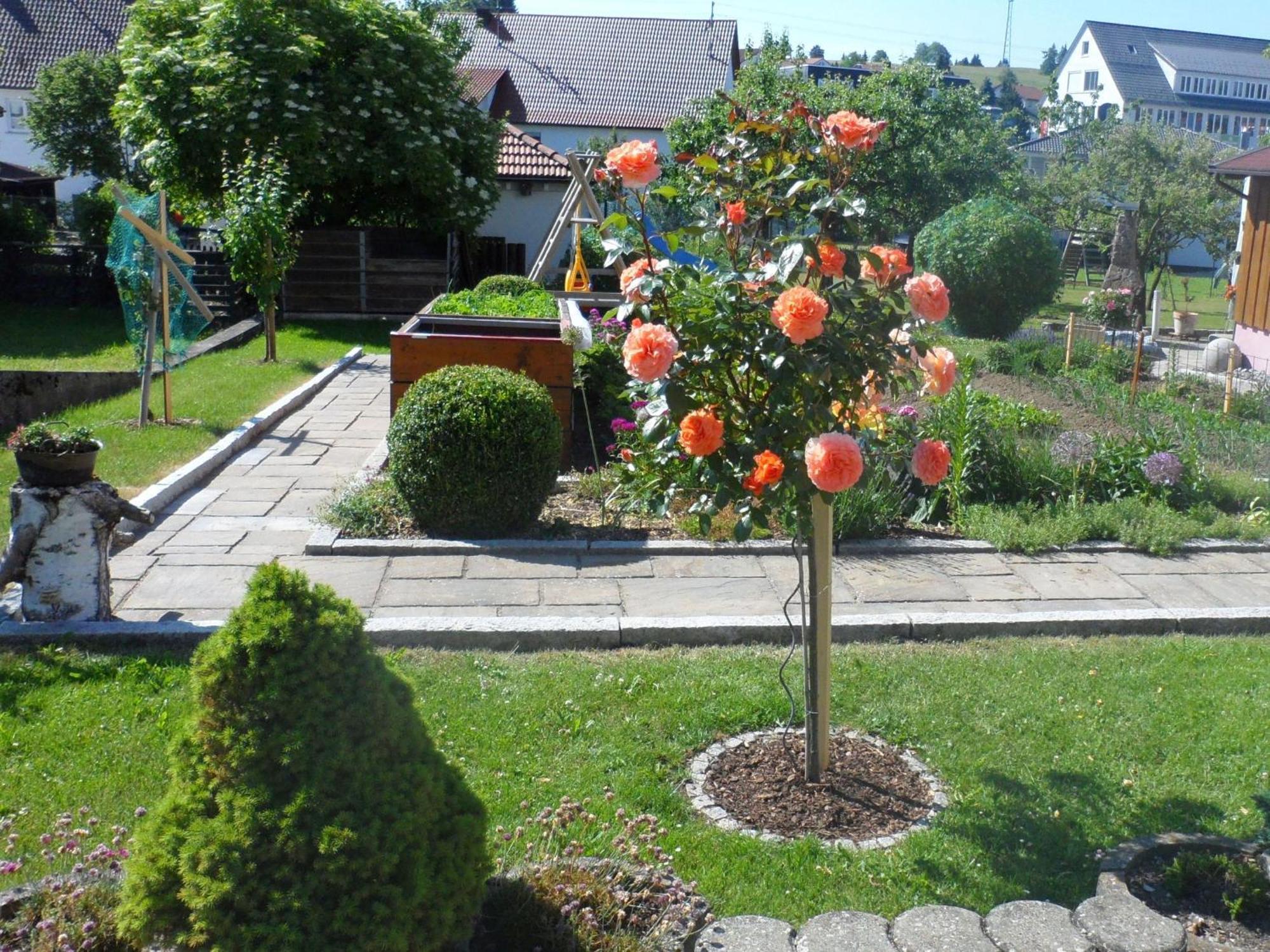 Messstetten Ferienwohnung Eleonore מראה חיצוני תמונה